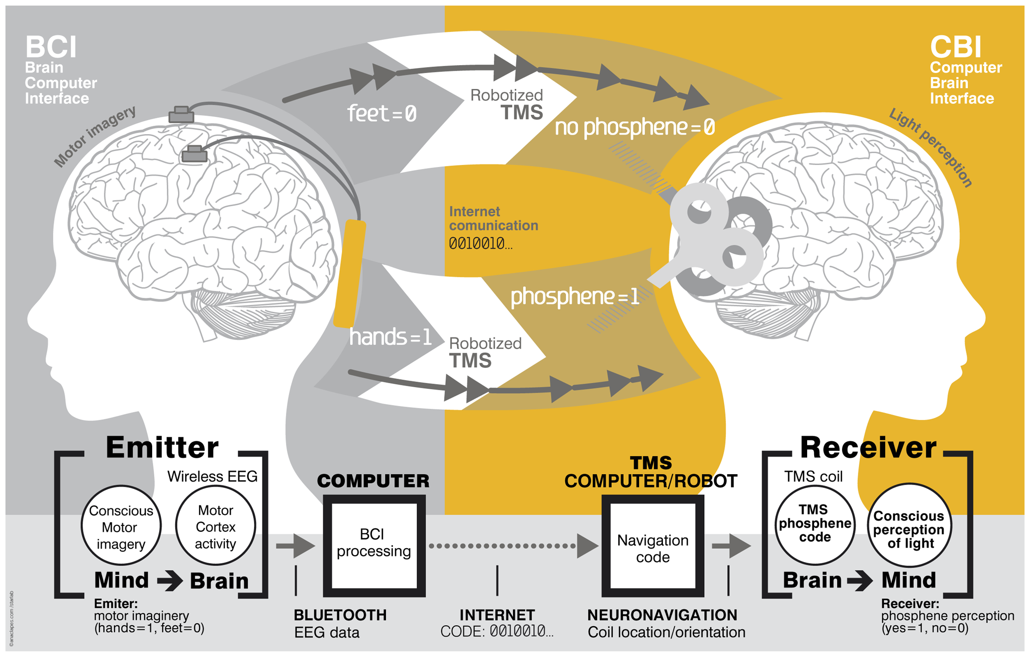 Noninvasive brain-to-brain communication demonstrated