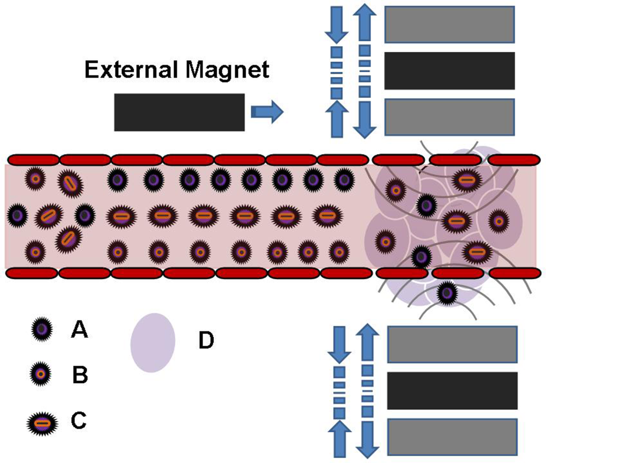 Non-invasive, magnetic, deep tissue drug delivery