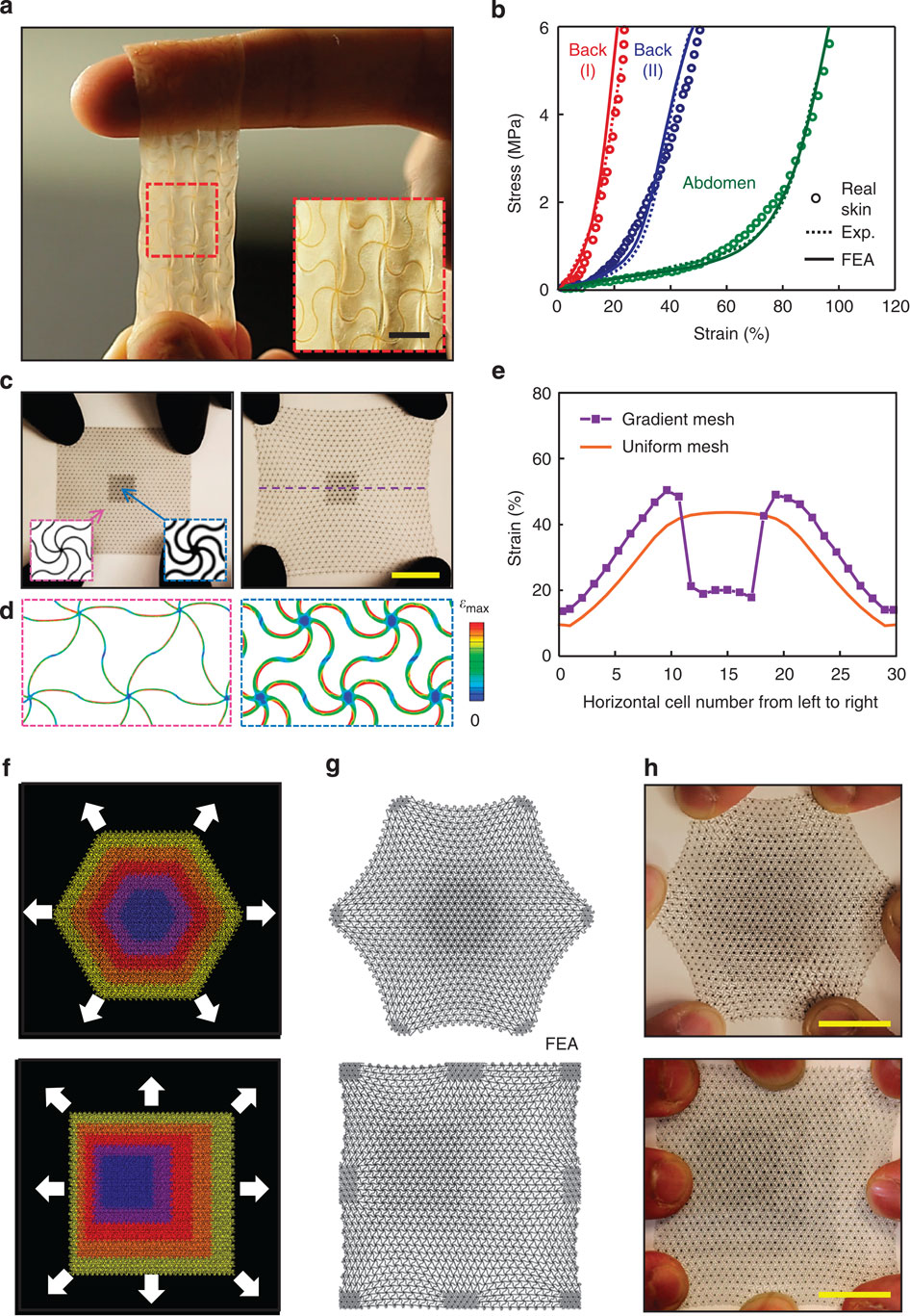 Strong, elastic artificial “skin” mimics collagen structure