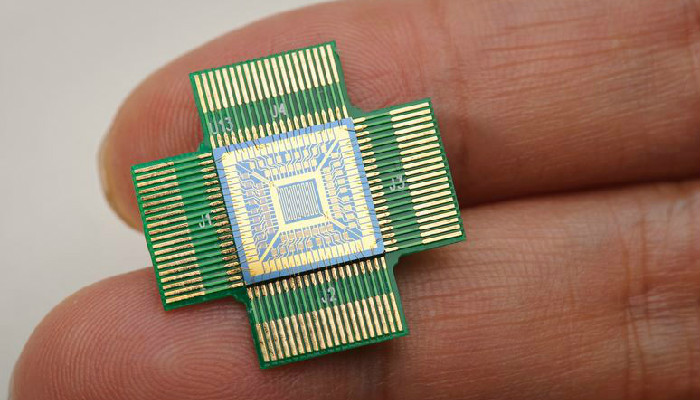 Sensor chip for prostate cancer diagnosis