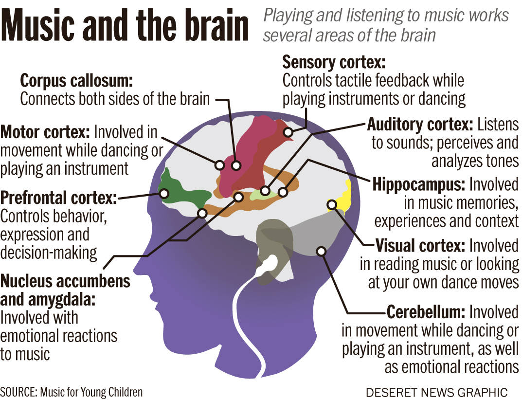Epileptic patients process music differently