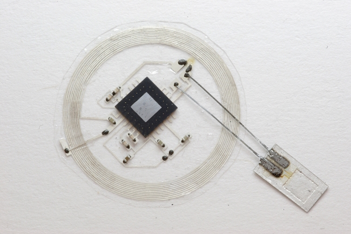 Self-dissolving implanted brain temperature, pressure sensor