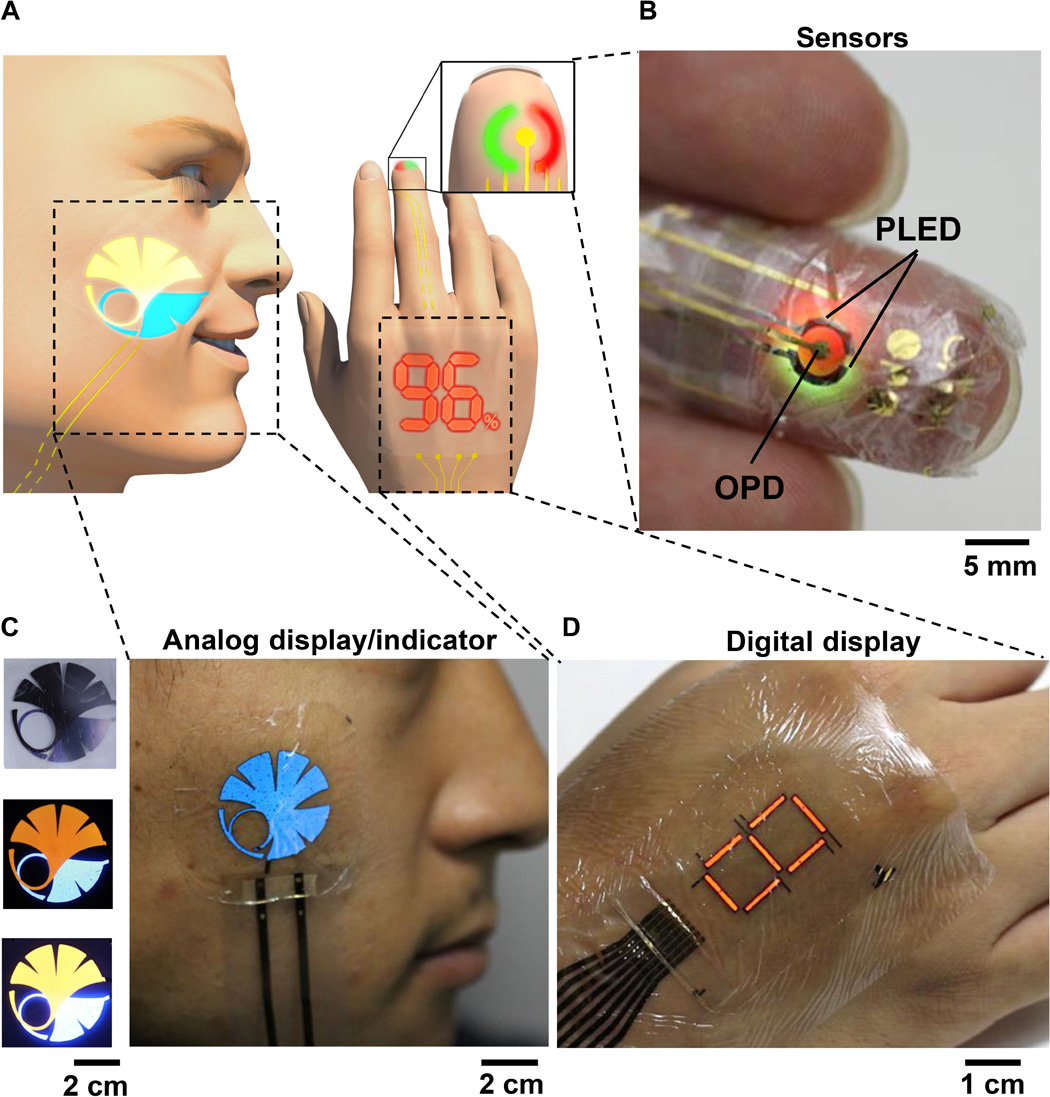 Ultraflexible OLED “skin” can monitor pulse, blood oxygen