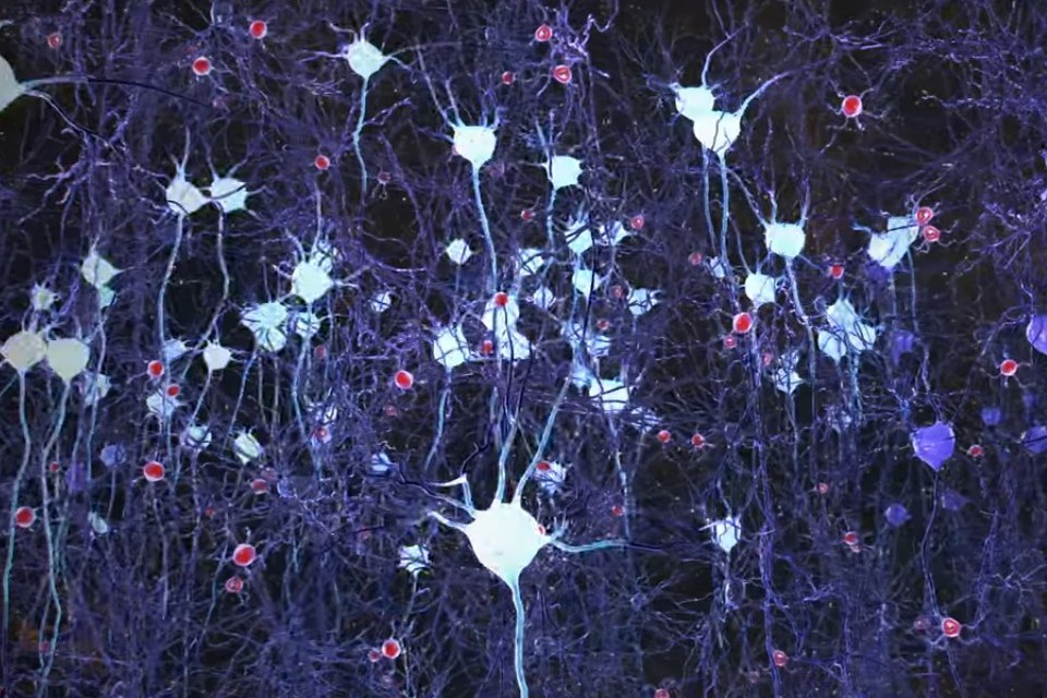 Non-invasive visual stimulation to treat Alzheimer’s disease