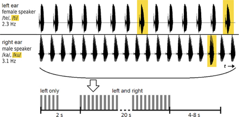 Toward a speech-driven auditory Brain Computer Interface
