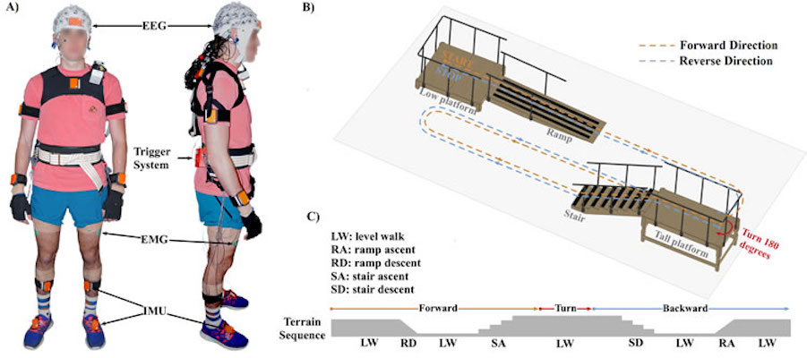 Closed loop EEG/BCI/VR/physical therapy system to control gait, prosthetics