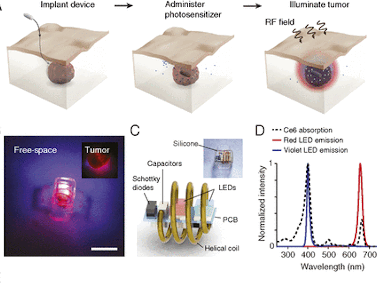 Remote photodynamic therapy targets inner-organ tumors